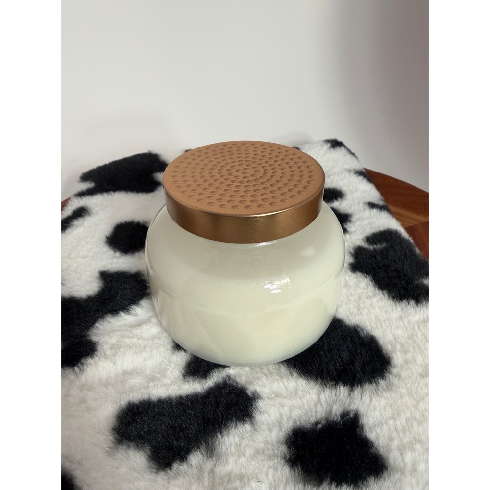 Sea & Sand California Ocean Mist Scented Candle 9oz Frosted Glass Copper Lid